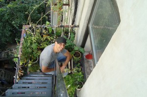 Mike Lieberman, Founder of Urban Organic Gardener