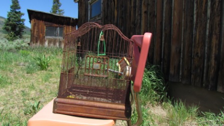 ghost-town-north-of-kremmling-colorado-south-of-hwy-14-junction-rusty-bird-cage