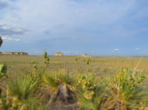 the-pawnee-buttes-national-grassland