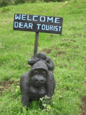 keep the vacation spirit alive at the 9 to 5