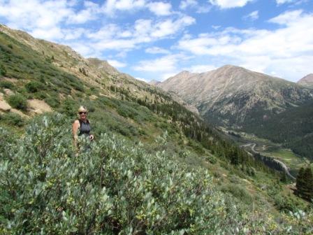 independence pass aspen colorado 2
